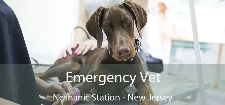Emergency Vet Neshanic Station - New Jersey