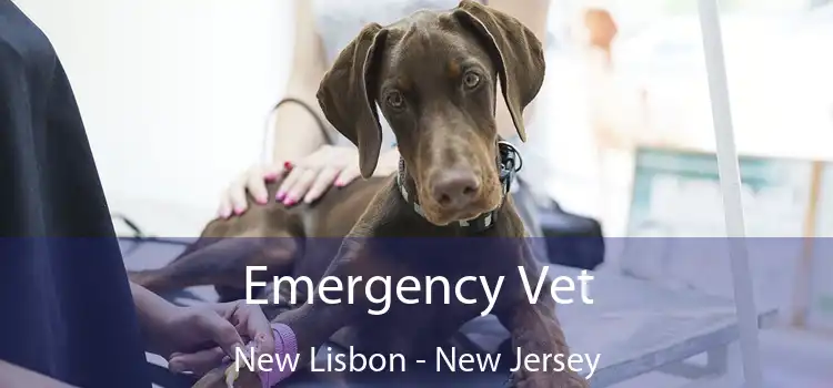 Emergency Vet New Lisbon - New Jersey