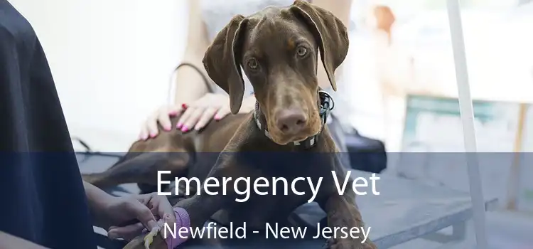 Emergency Vet Newfield - New Jersey