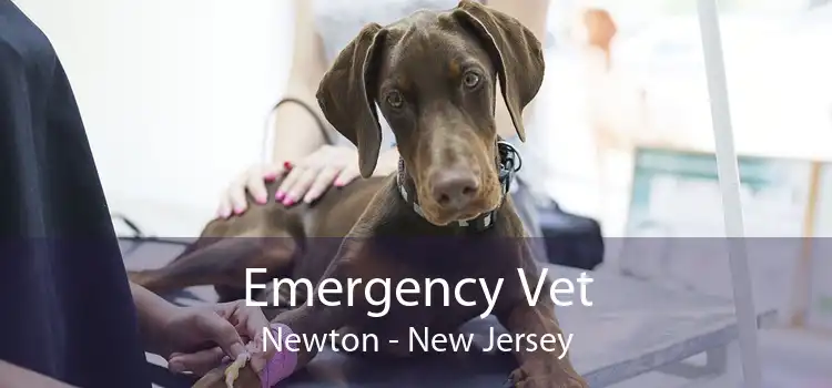 Emergency Vet Newton - New Jersey