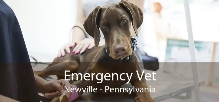 Emergency Vet Newville - Pennsylvania