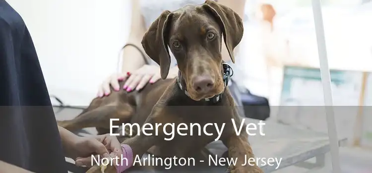 Emergency Vet North Arlington - New Jersey