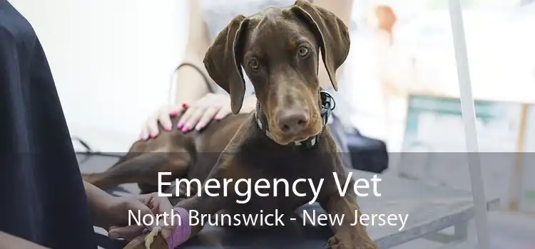 Emergency Vet North Brunswick - New Jersey