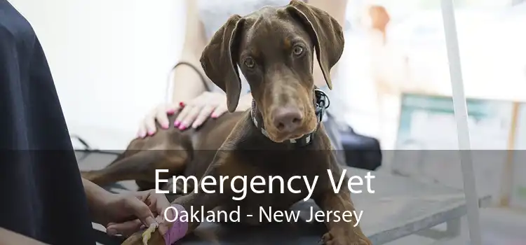 Emergency Vet Oakland - New Jersey