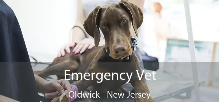 Emergency Vet Oldwick - New Jersey