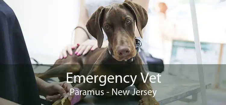 Emergency Vet Paramus - New Jersey