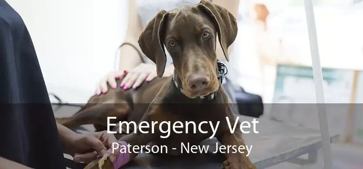 Emergency Vet Paterson - New Jersey