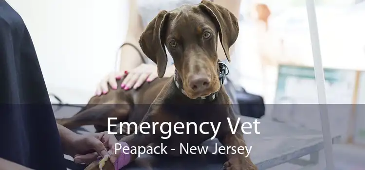 Emergency Vet Peapack - New Jersey