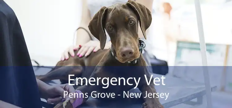 Emergency Vet Penns Grove - New Jersey