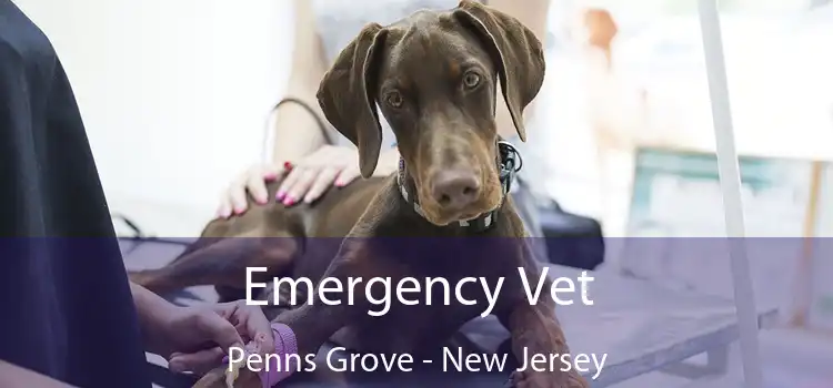 Emergency Vet Penns Grove - New Jersey