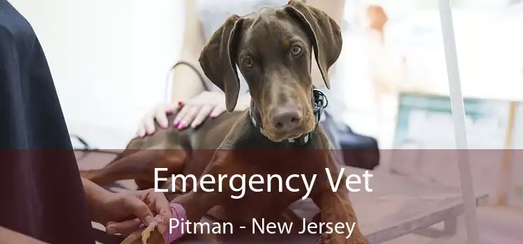 Emergency Vet Pitman - New Jersey