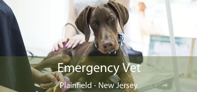 Emergency Vet Plainfield - New Jersey