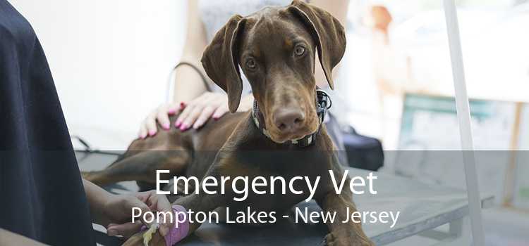 Emergency Vet Pompton Lakes - New Jersey