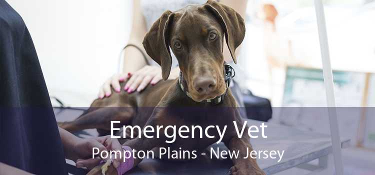 Emergency Vet Pompton Plains - New Jersey