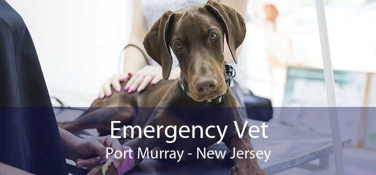 Emergency Vet Port Murray - New Jersey