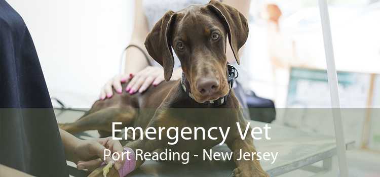 Emergency Vet Port Reading - New Jersey