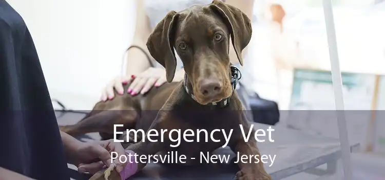 Emergency Vet Pottersville - New Jersey