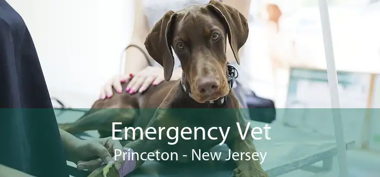 Emergency Vet Princeton - New Jersey