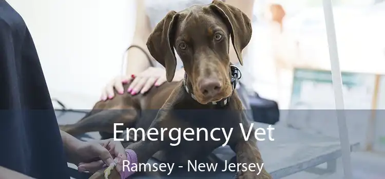 Emergency Vet Ramsey - New Jersey