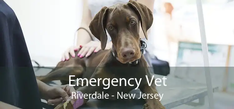 Emergency Vet Riverdale - New Jersey