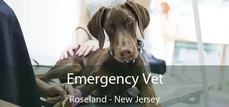 Emergency Vet Roseland - New Jersey