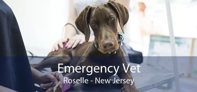 Emergency Vet Roselle - New Jersey