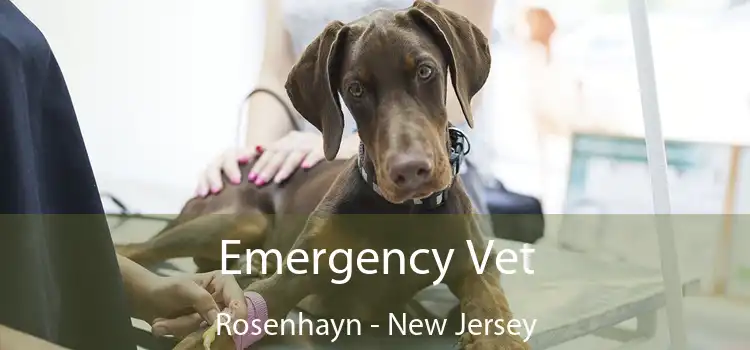 Emergency Vet Rosenhayn - New Jersey