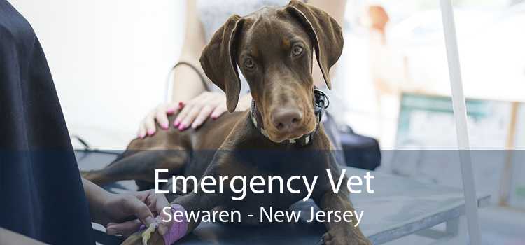 Emergency Vet Sewaren - New Jersey