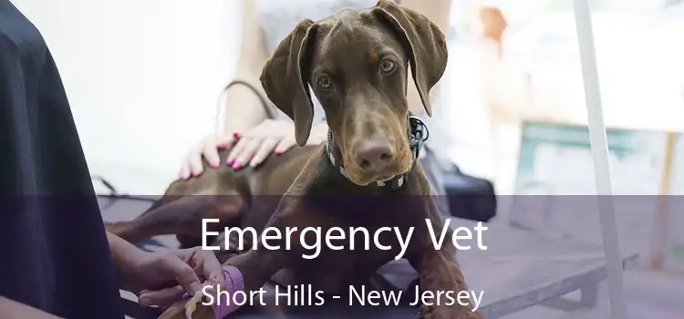 Emergency Vet Short Hills - New Jersey