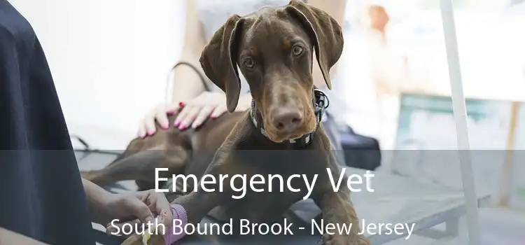 Emergency Vet South Bound Brook - New Jersey