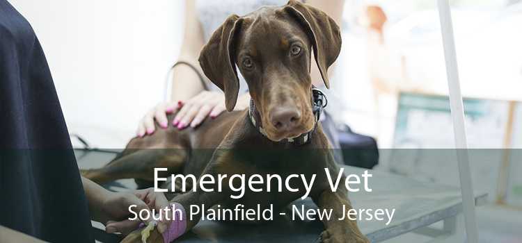 Emergency Vet South Plainfield - New Jersey