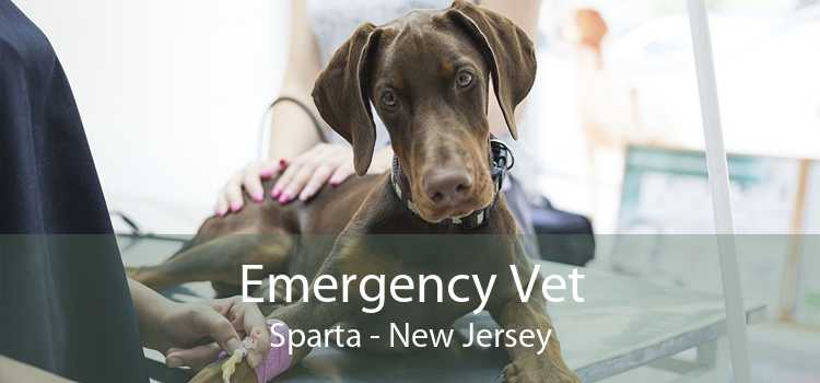 Emergency Vet Sparta - New Jersey