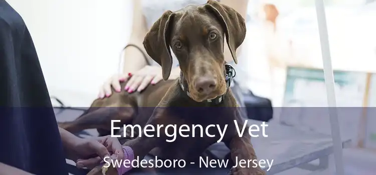 Emergency Vet Swedesboro - New Jersey