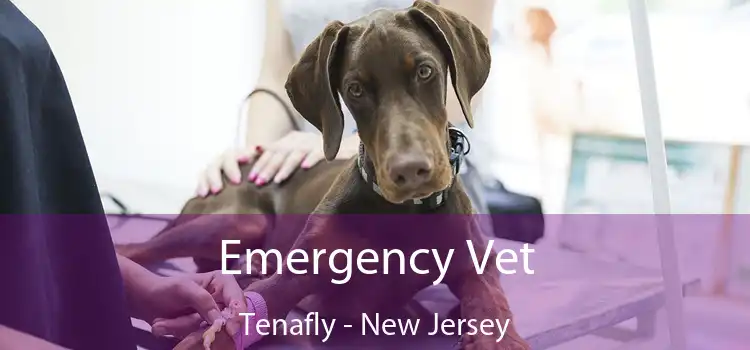 Emergency Vet Tenafly - New Jersey