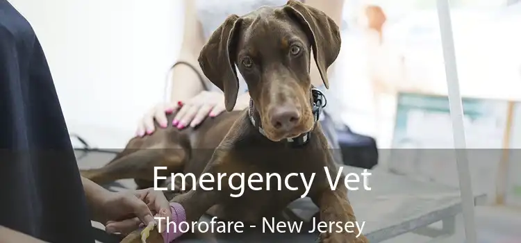 Emergency Vet Thorofare - New Jersey