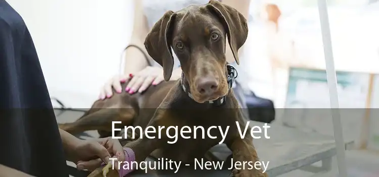 Emergency Vet Tranquility - New Jersey