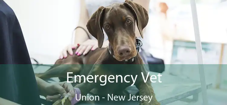 Emergency Vet Union - New Jersey