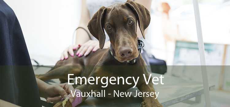 Emergency Vet Vauxhall - New Jersey
