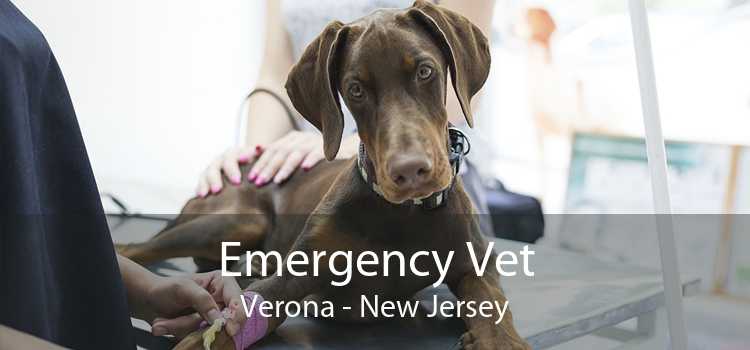 Emergency Vet Verona - New Jersey