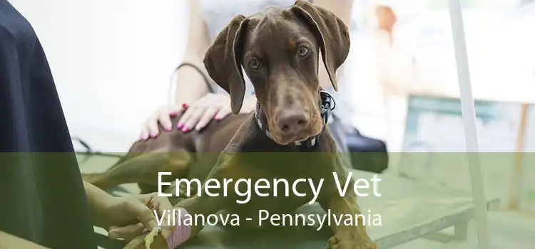 Emergency Vet Villanova - Pennsylvania