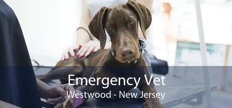 Emergency Vet Westwood - New Jersey