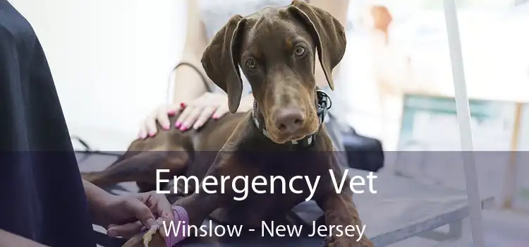 Emergency Vet Winslow - New Jersey