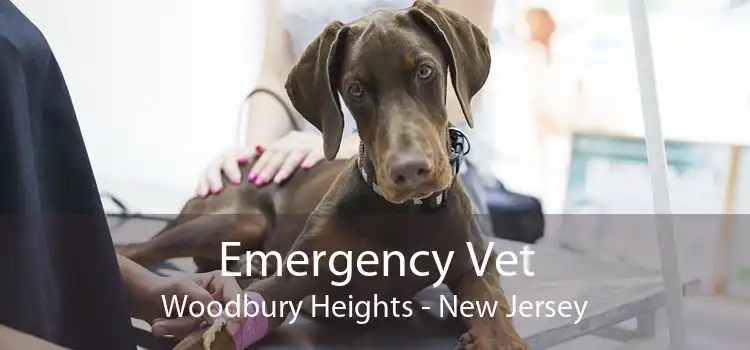 Emergency Vet Woodbury Heights - New Jersey
