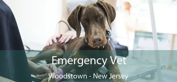 Emergency Vet Woodstown - New Jersey