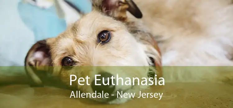 Pet Euthanasia Allendale - New Jersey