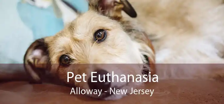 Pet Euthanasia Alloway - New Jersey
