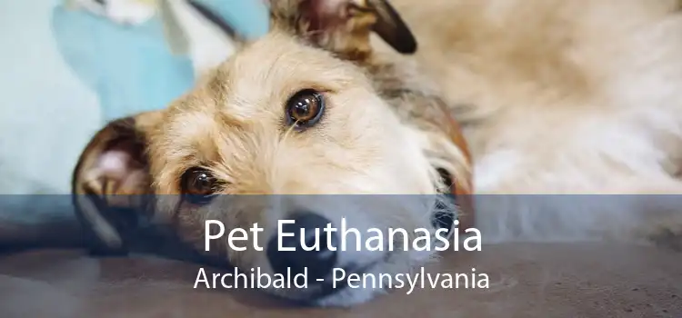 Pet Euthanasia Archibald - Pennsylvania