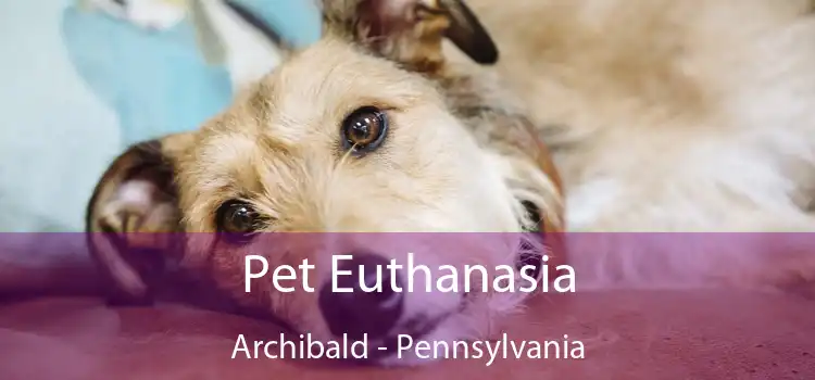 Pet Euthanasia Archibald - Pennsylvania