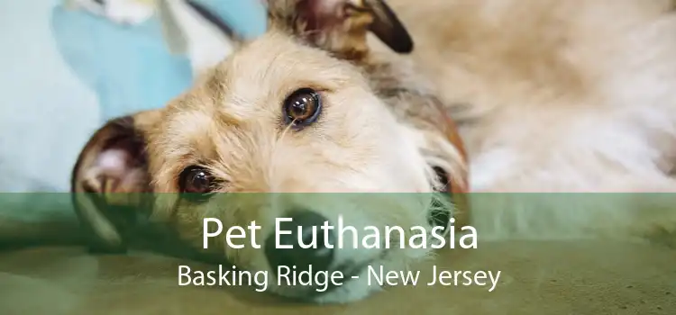 Pet Euthanasia Basking Ridge - New Jersey