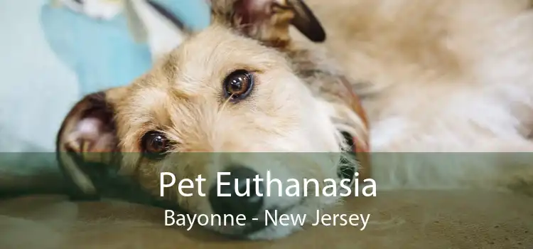 Pet Euthanasia Bayonne - New Jersey